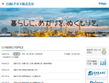 Tablet Screenshot of nipg.co.jp
